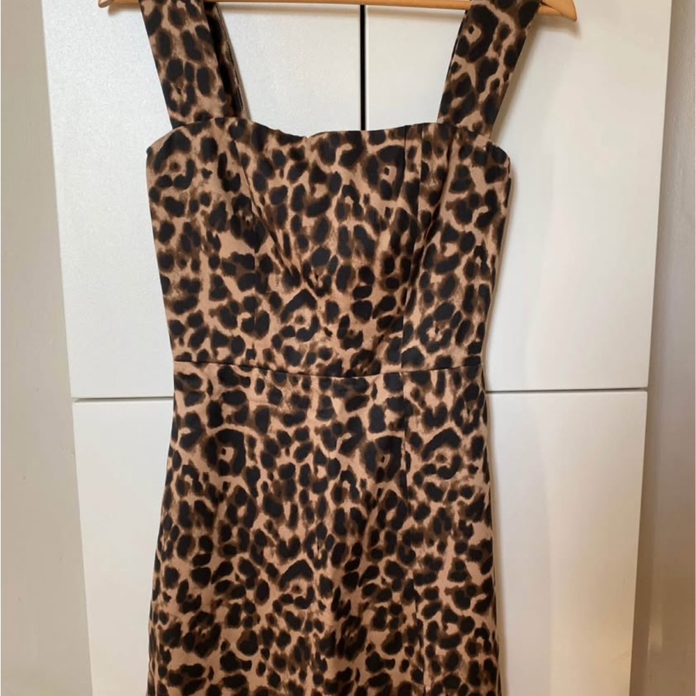 Reformation Leopard Print Mini Dress